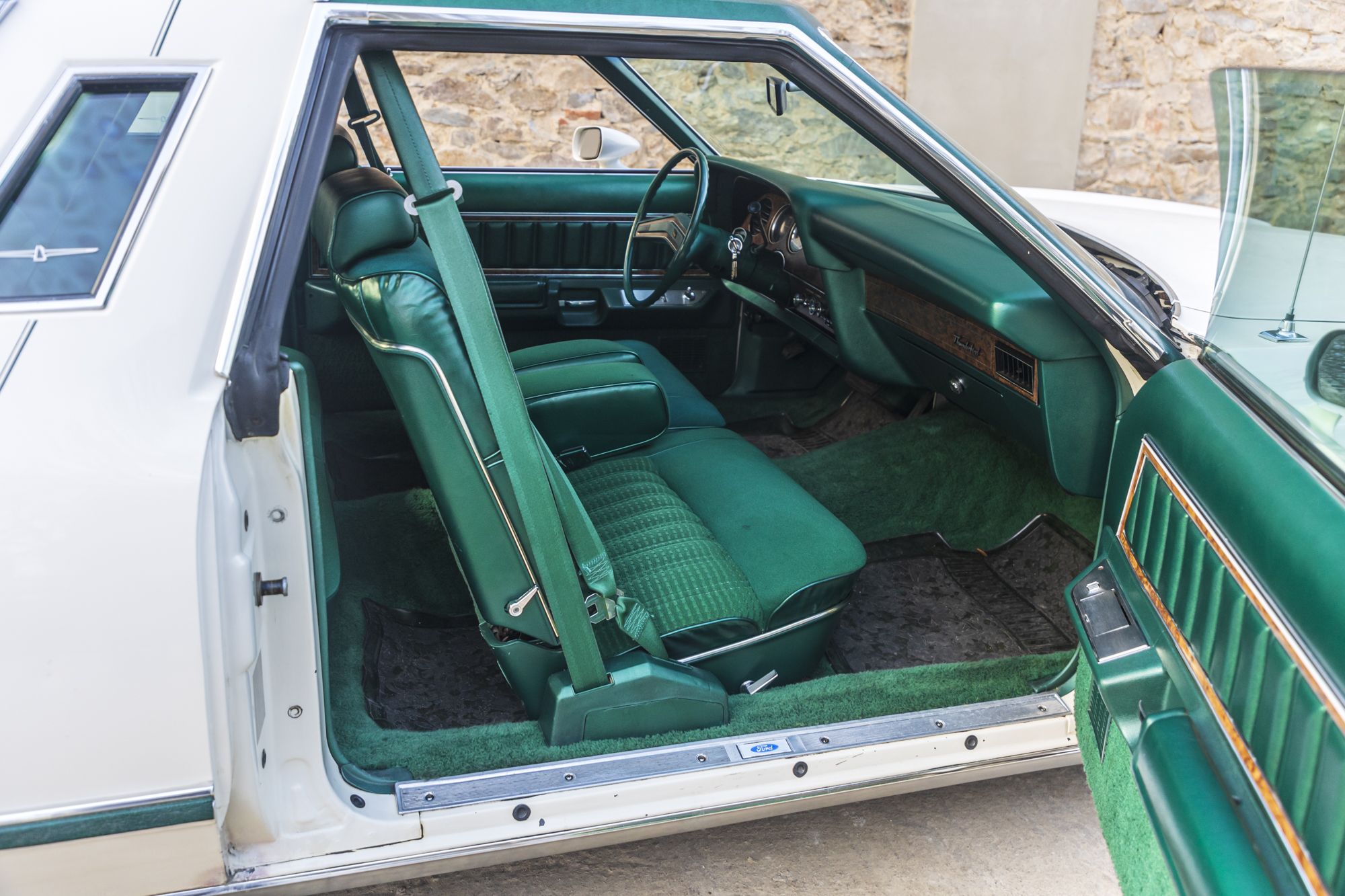 male Ford TunderBird_27