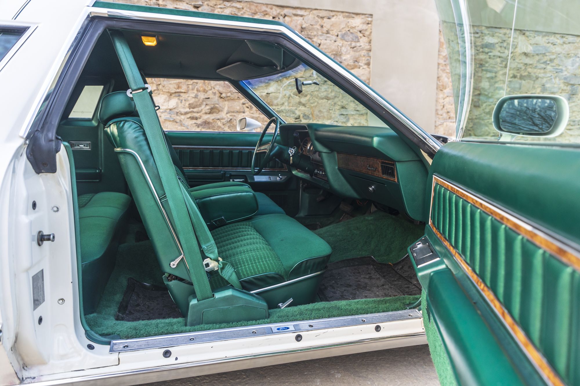 male Ford TunderBird_28