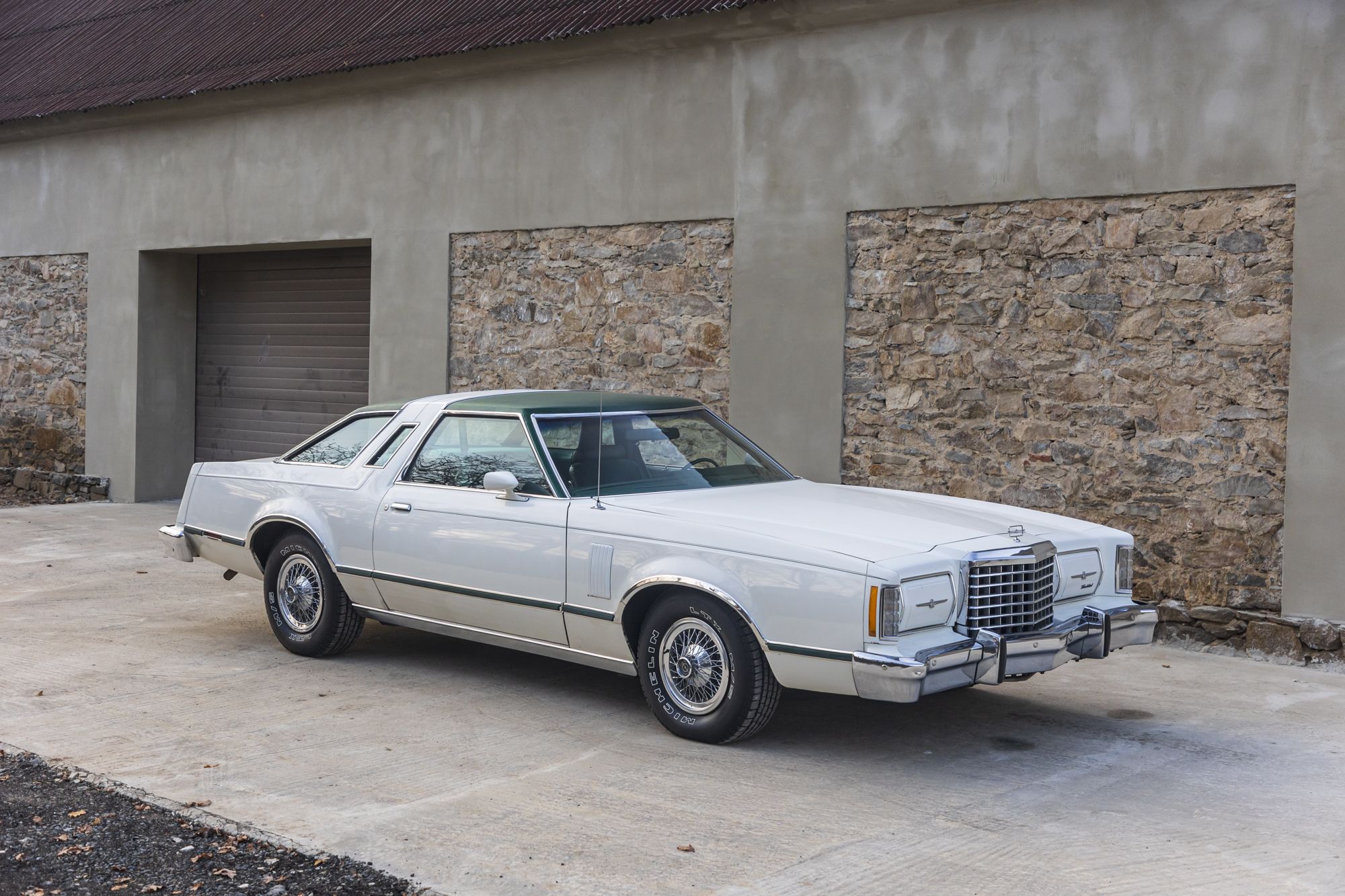 male Ford TunderBird_3