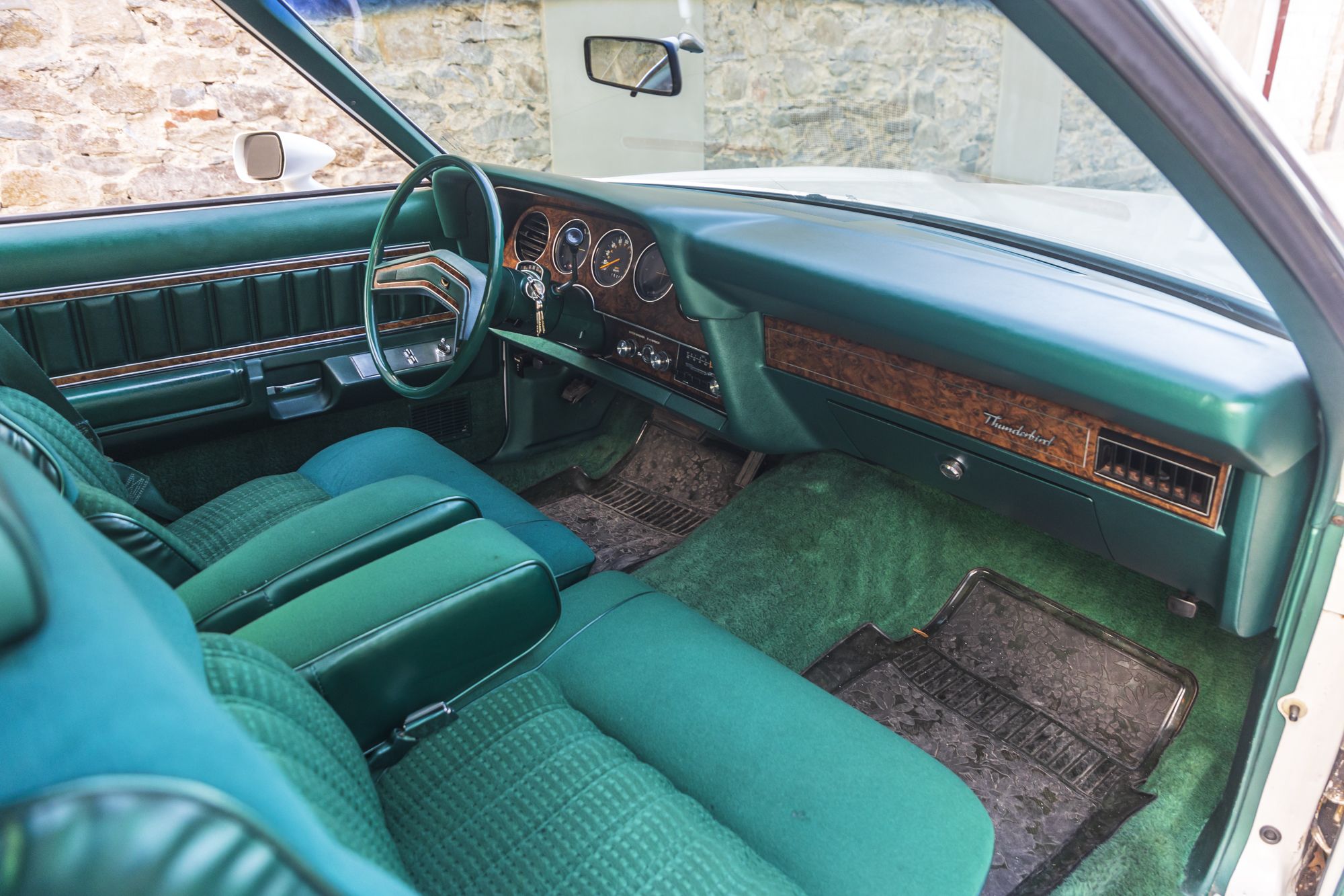 male Ford TunderBird_31