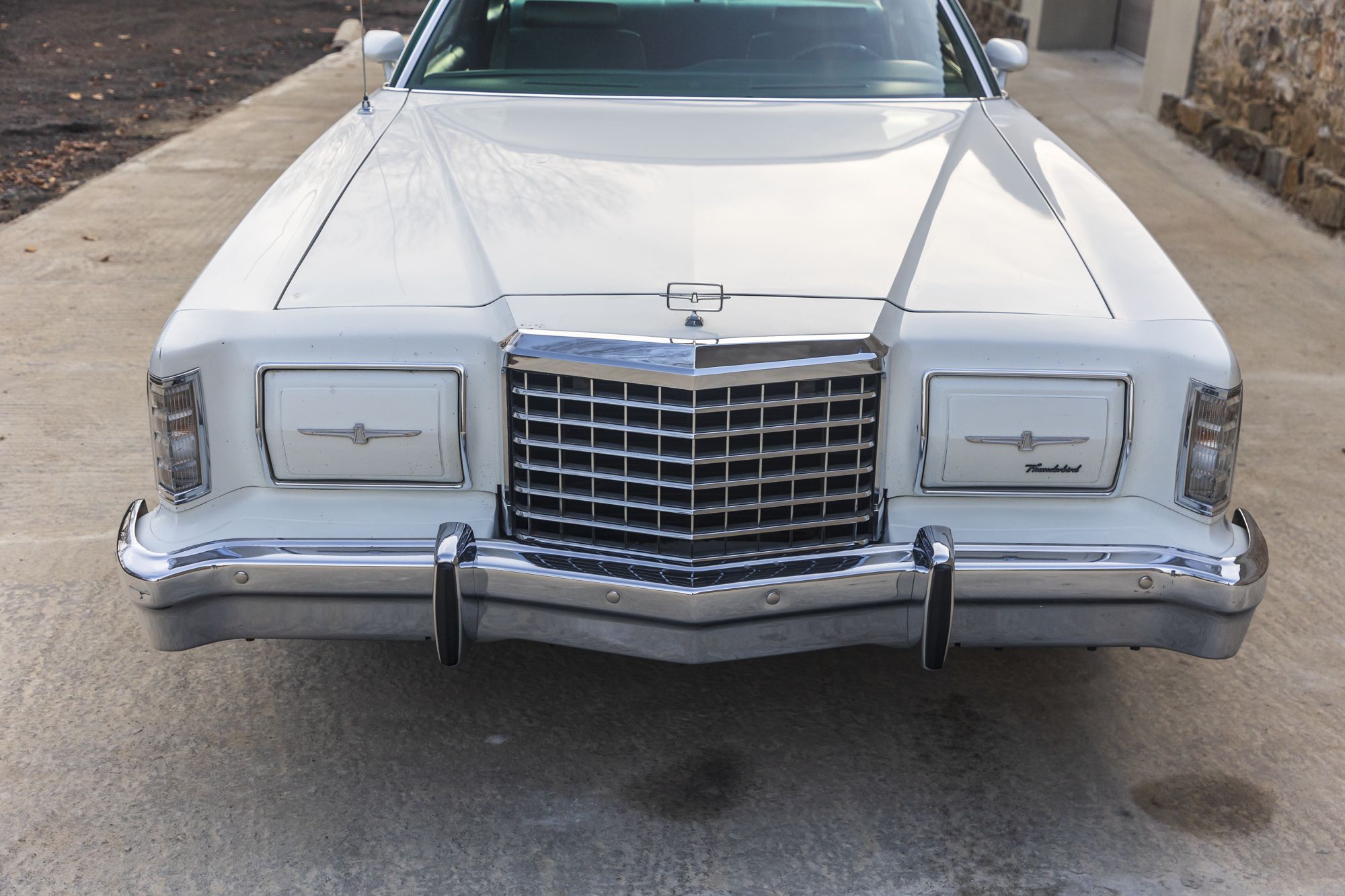 male Ford TunderBird_4