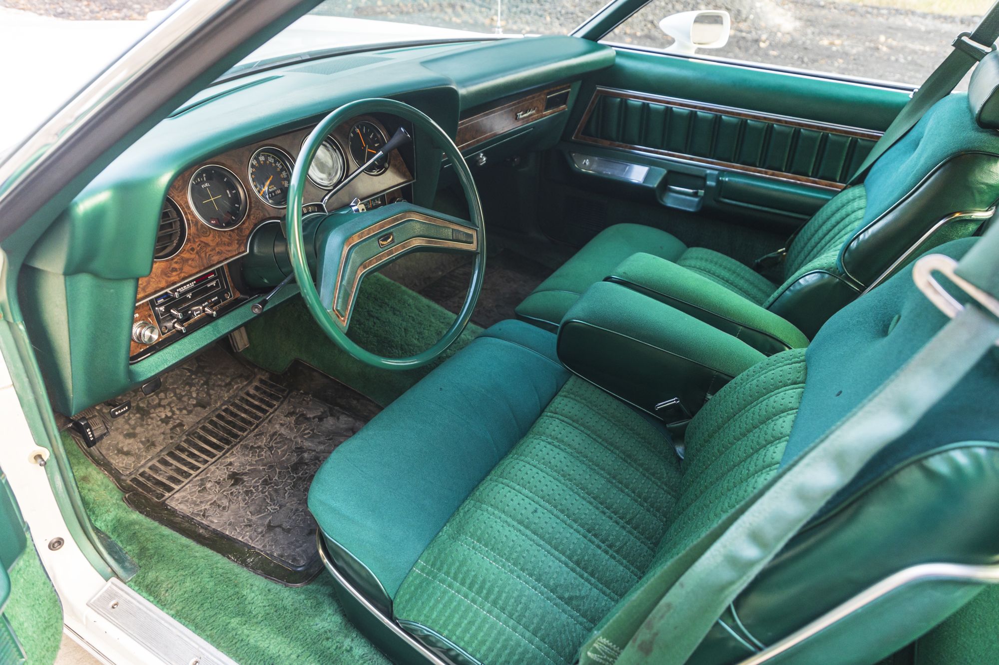 male Ford TunderBird_40