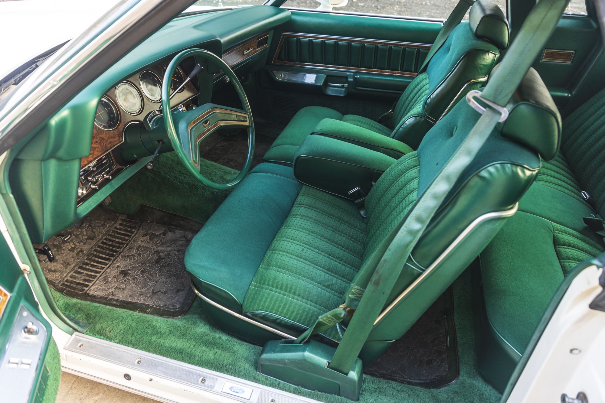 male Ford TunderBird_41