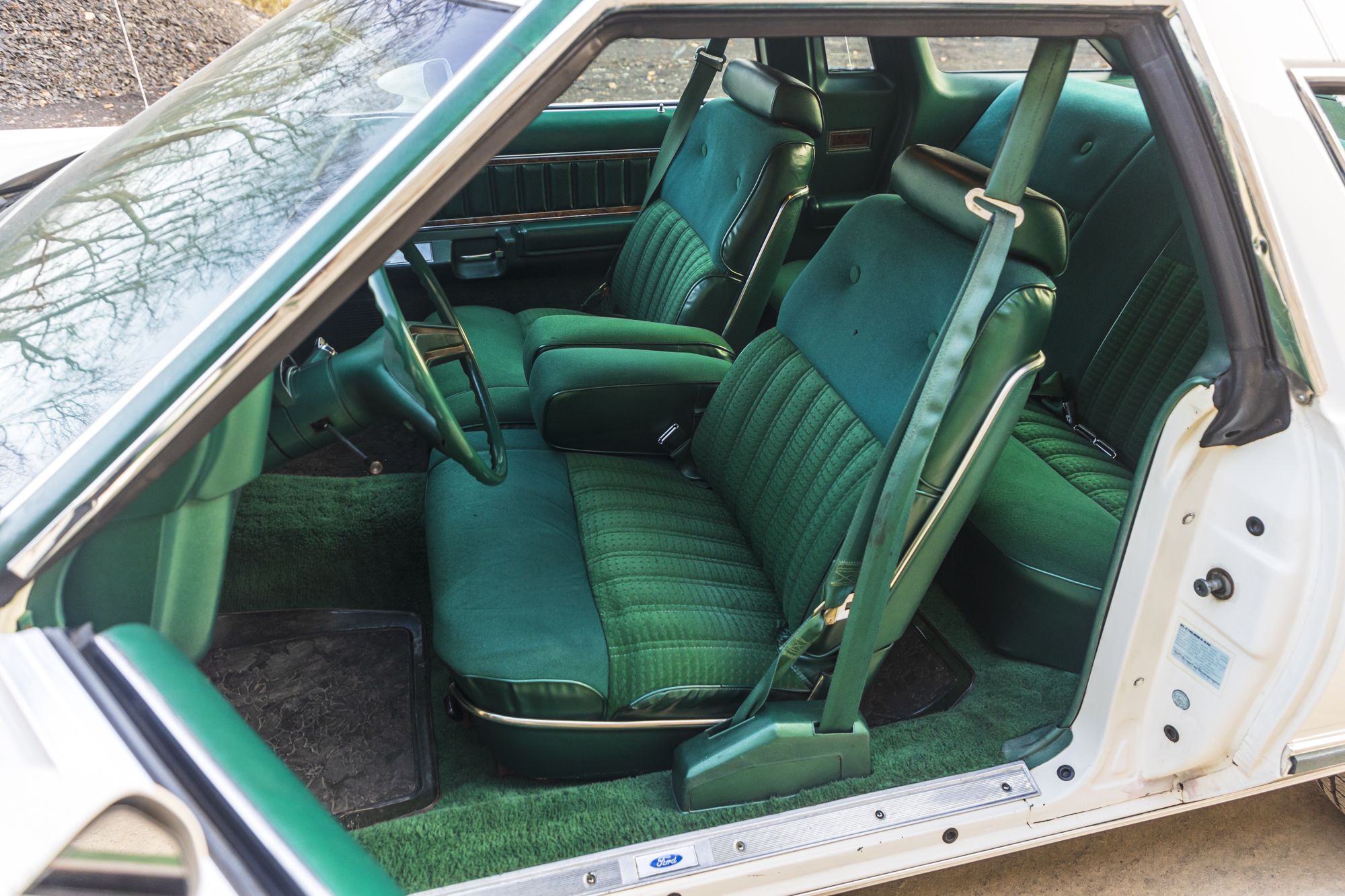 male Ford TunderBird_42