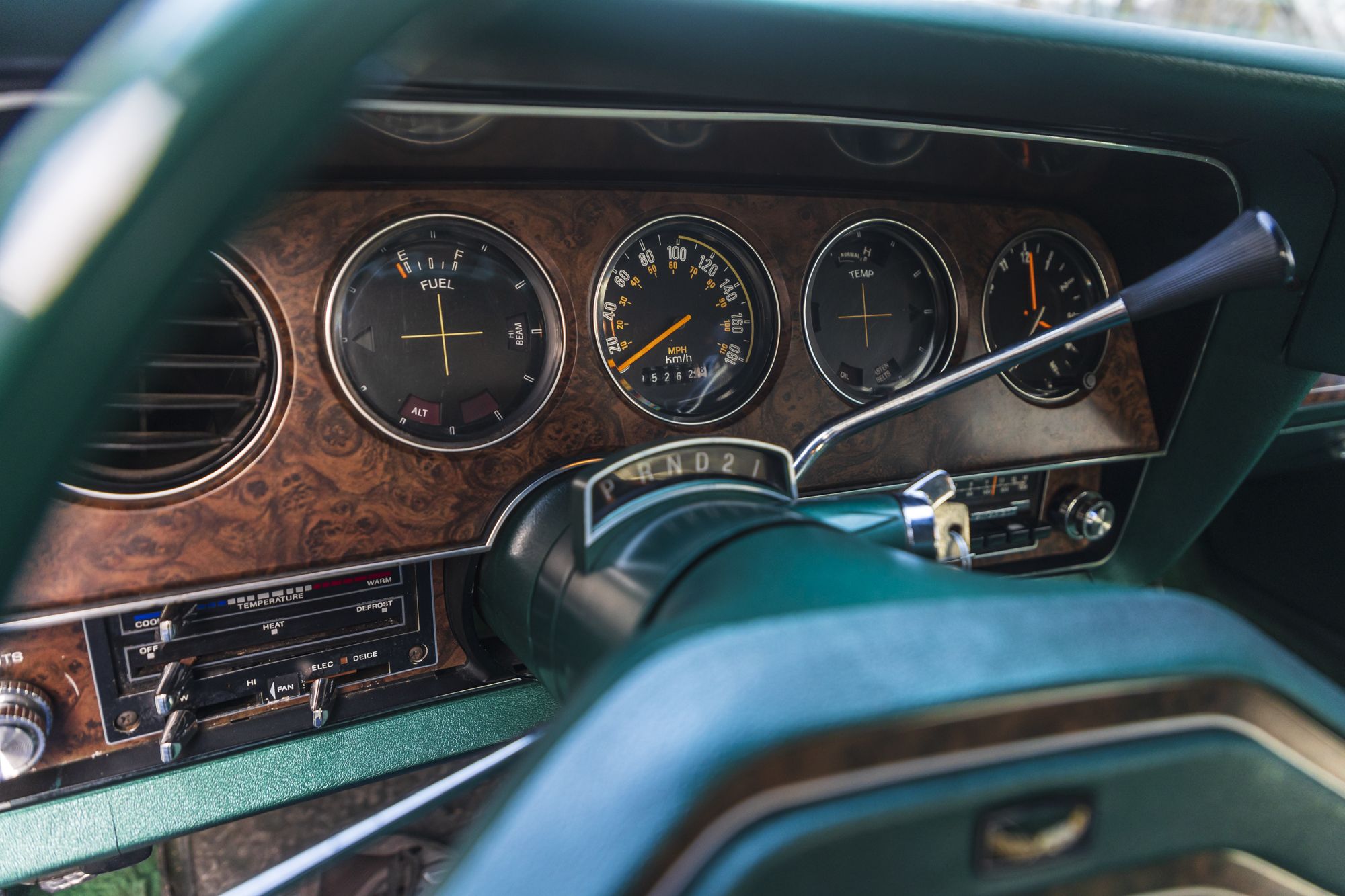 male Ford TunderBird_46