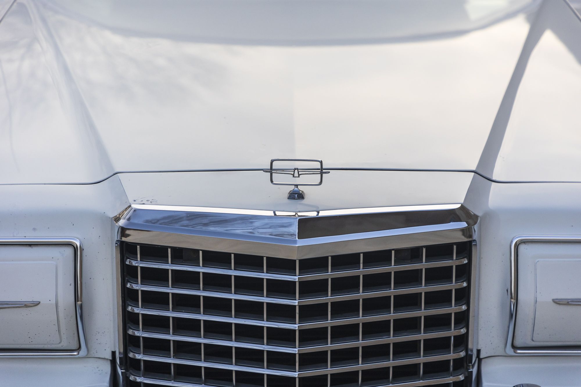 male Ford TunderBird_8