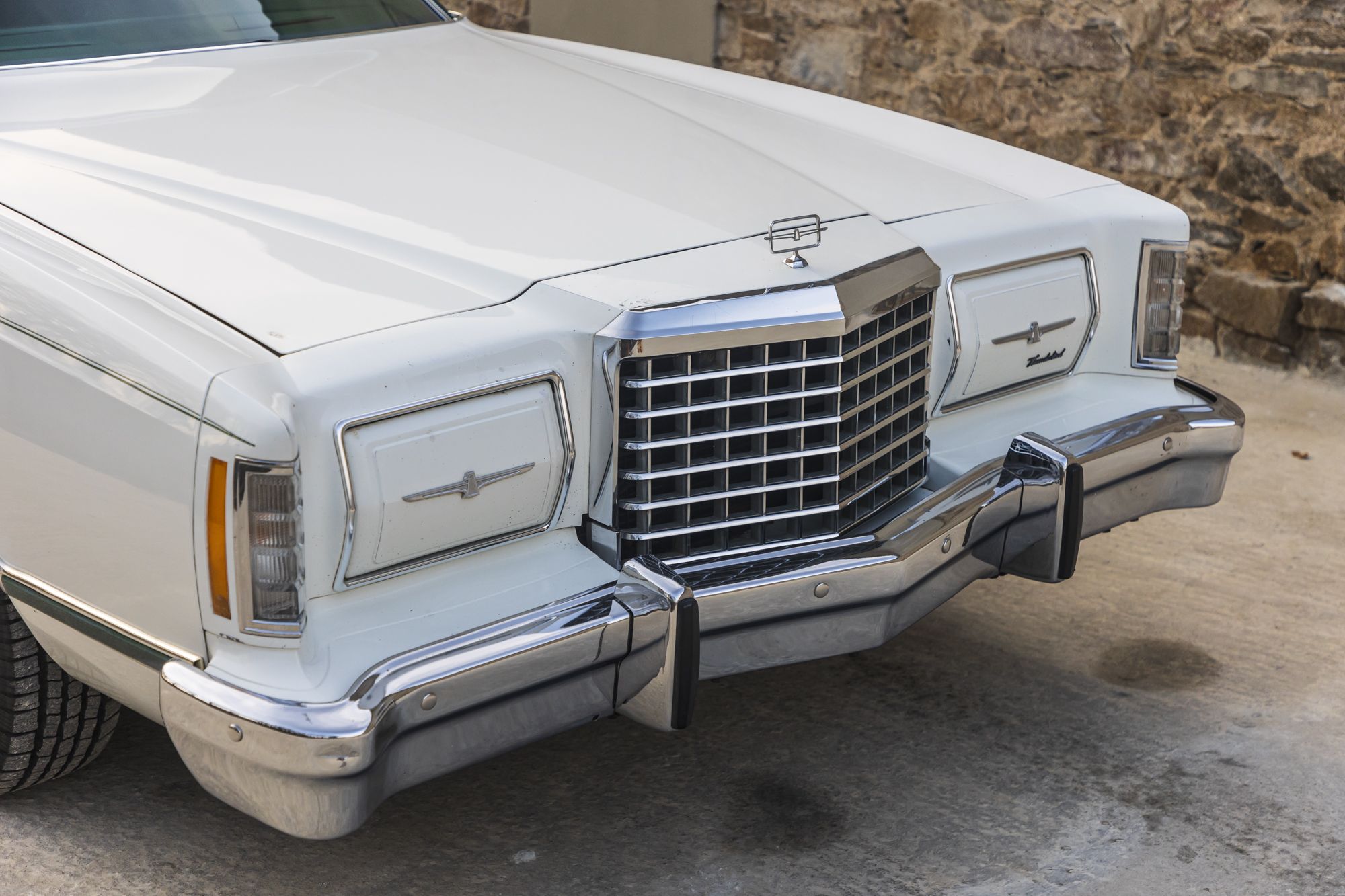 male Ford TunderBird_9