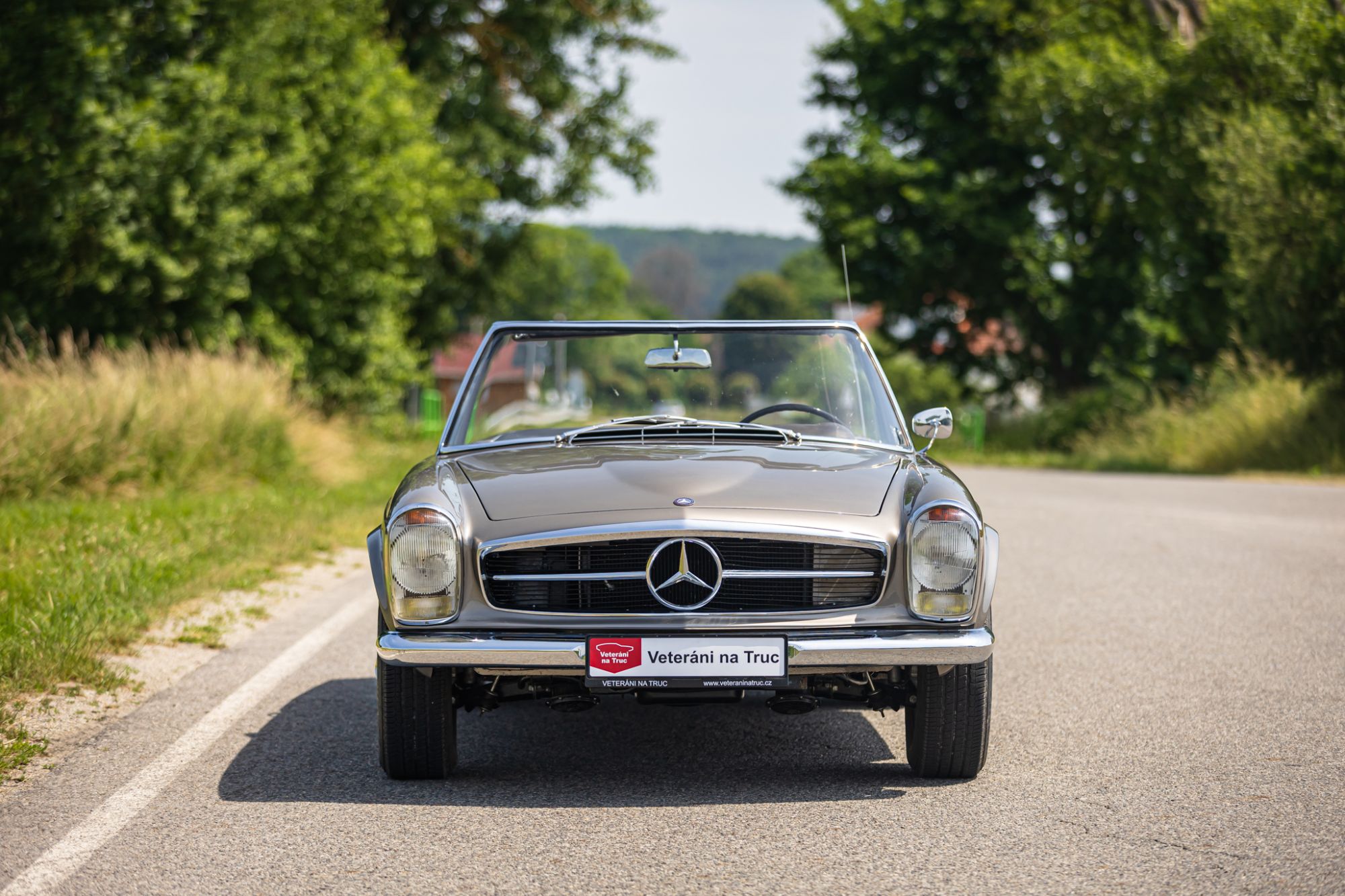 MB Pagoda 230 low_38.JPG