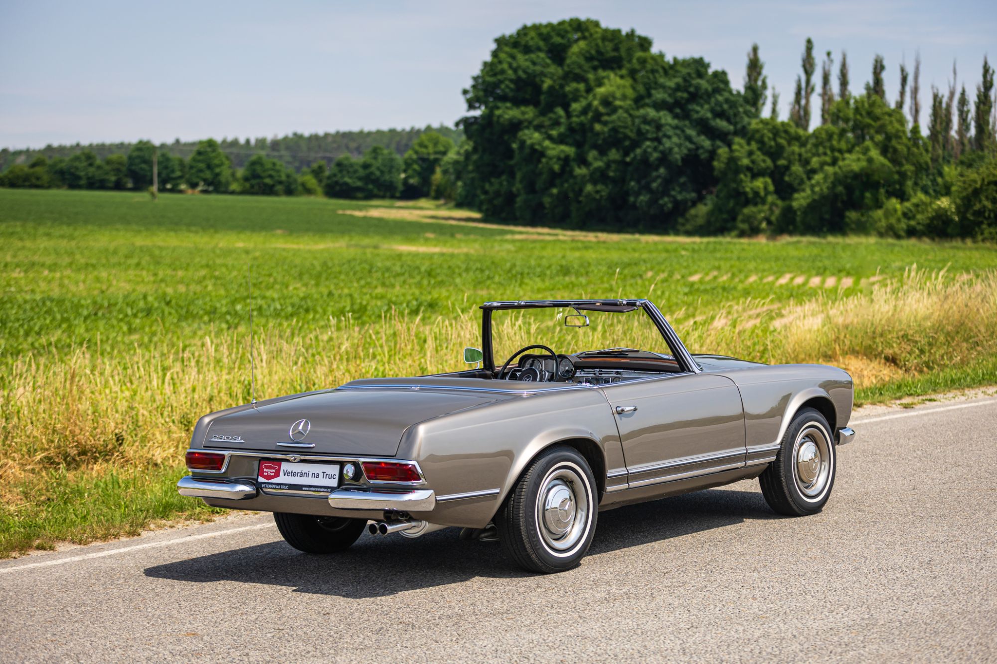 MB Pagoda 230 low_72.JPG