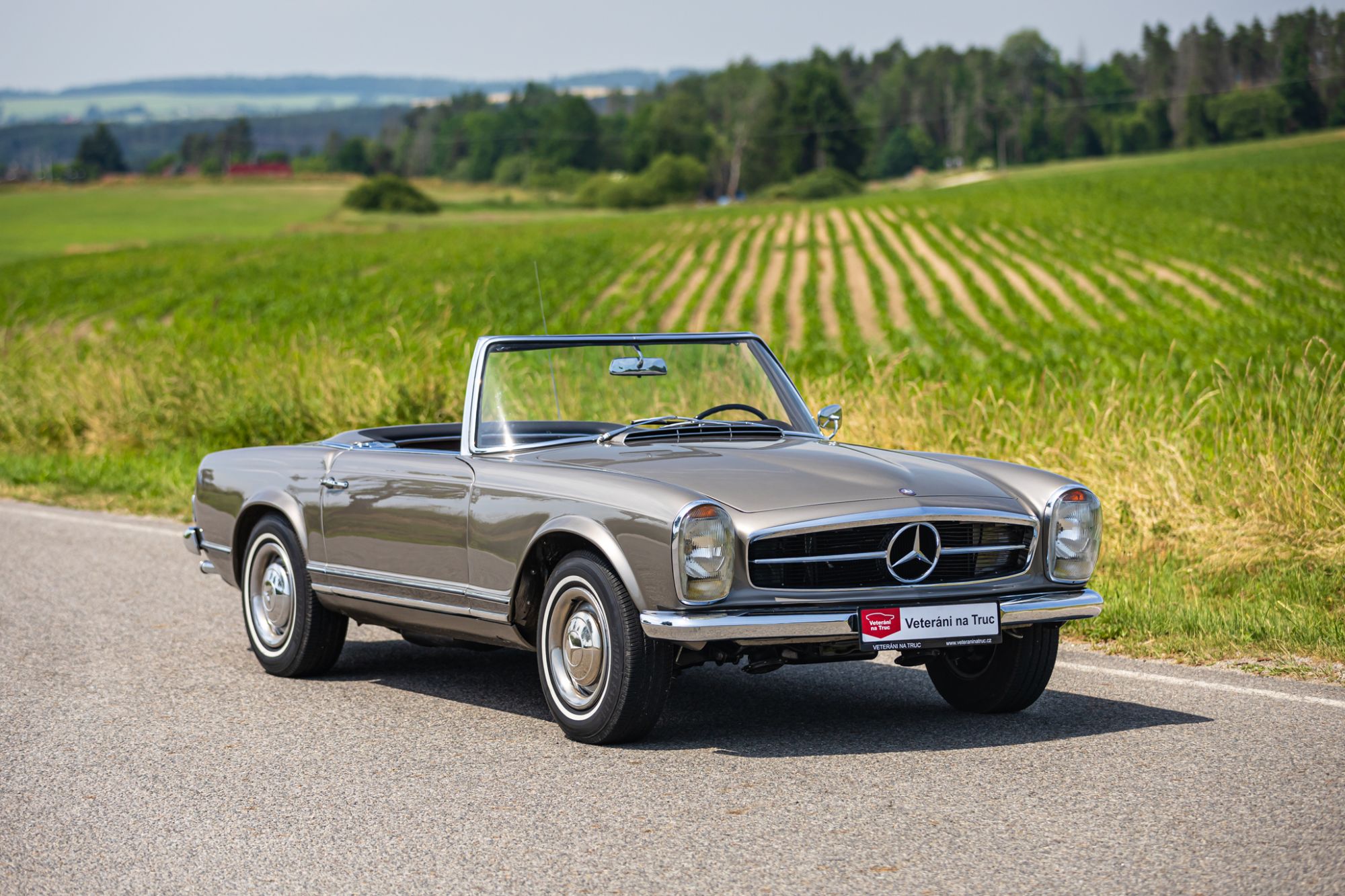 MB Pagoda 230 low_76.JPG