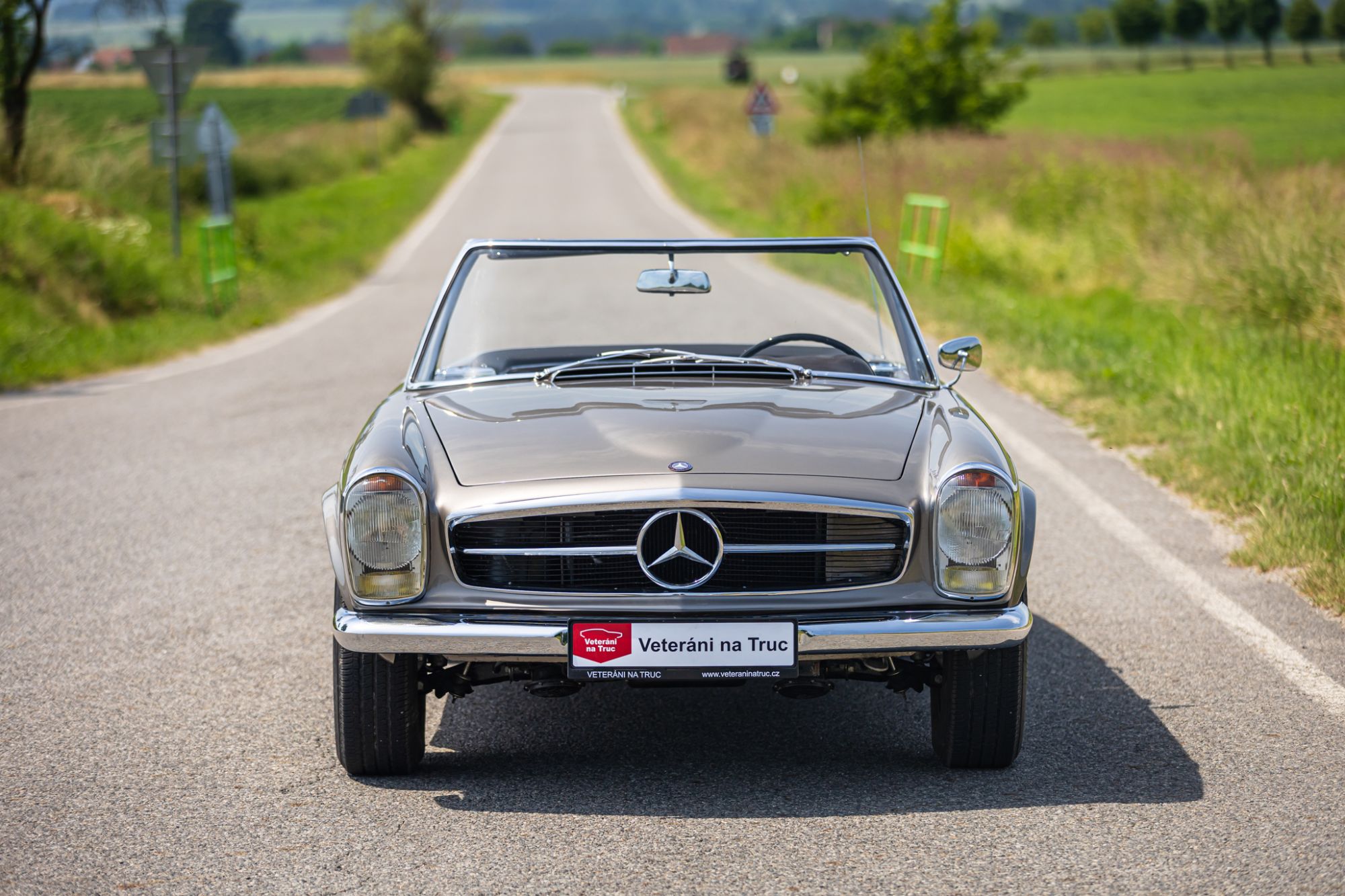 MB Pagoda 230 low_77.JPG