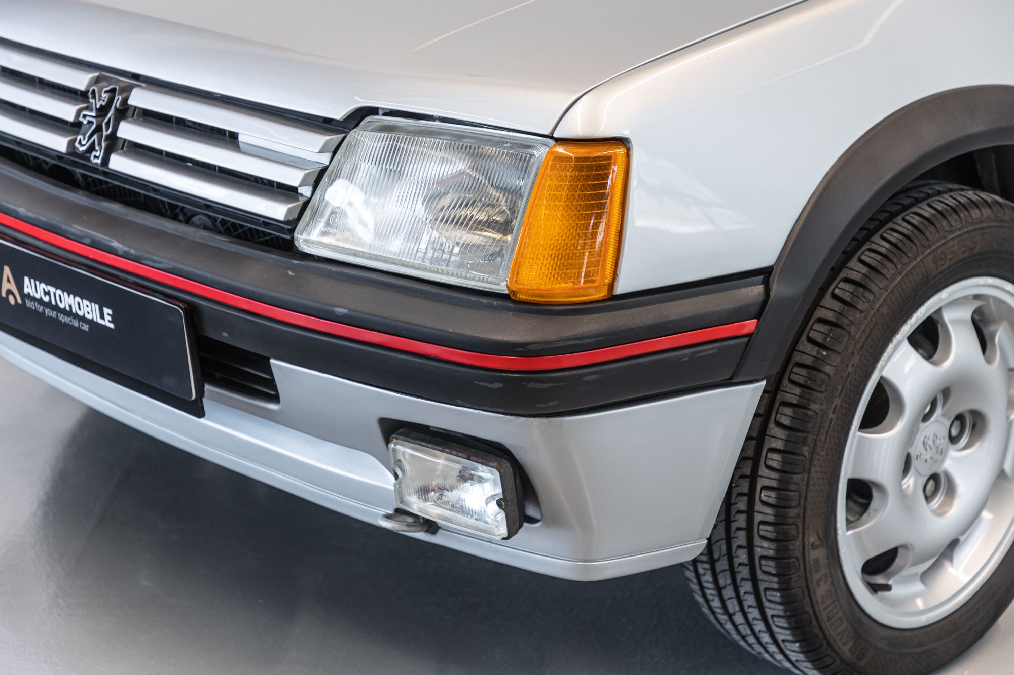 Peugeot 205 GTi_8.JPG